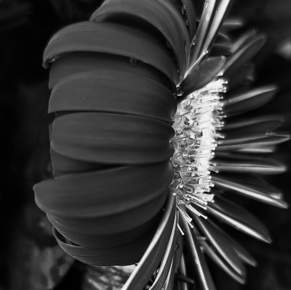 Meet your Posher, Mary - Picture 12 of 16